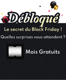Black Friday Secret!