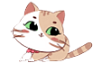 pet